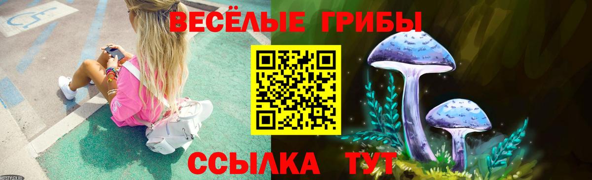 Галлюциногенные грибы GOLDEN TEACHER  Вход с VPN  Кизляр 