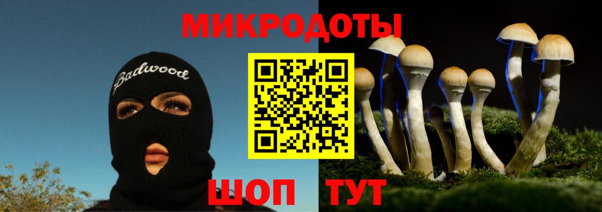 Галлюциногенные грибы MAGIC MUSHROOMS Кизляр